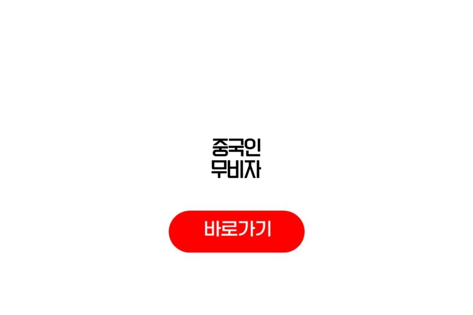 중국인 무비자