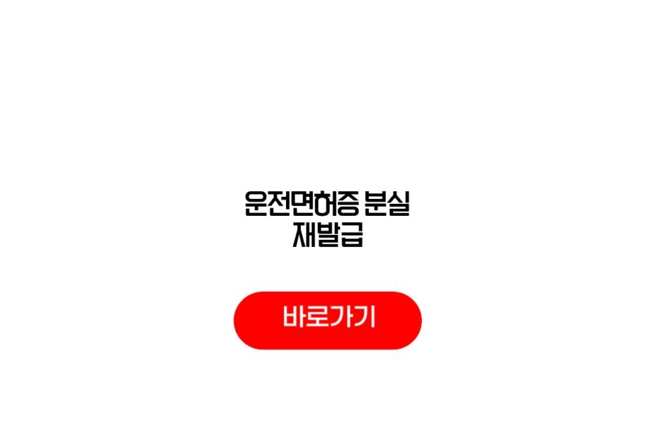 운전면허증 분실 재발급