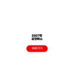 6007번 공항버스 시간표 노선도 예매 비교 6007번 공항버스