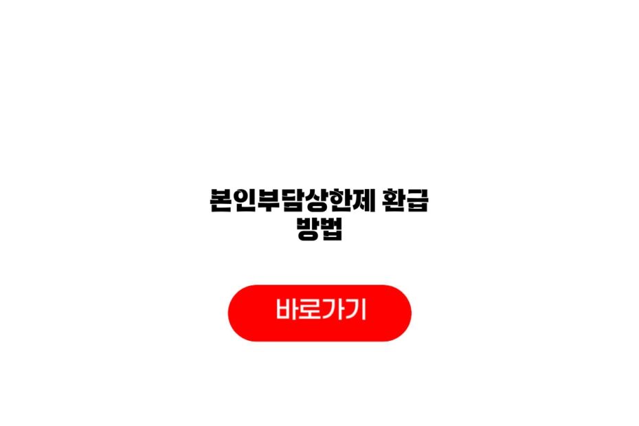 2026 본인부담상한제