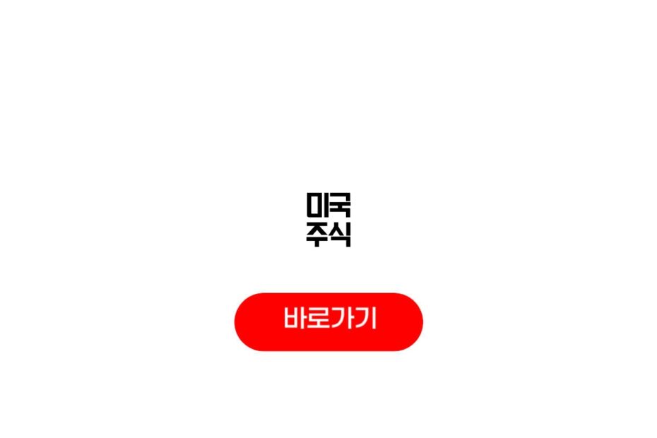 미국 주식