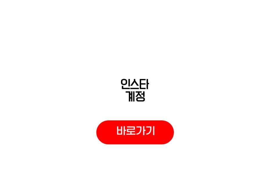 인스타 계정