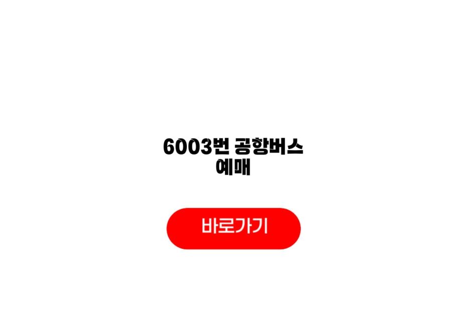 6003번 공항버스 예매
