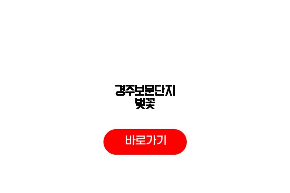 경주보문단지 벚꽃