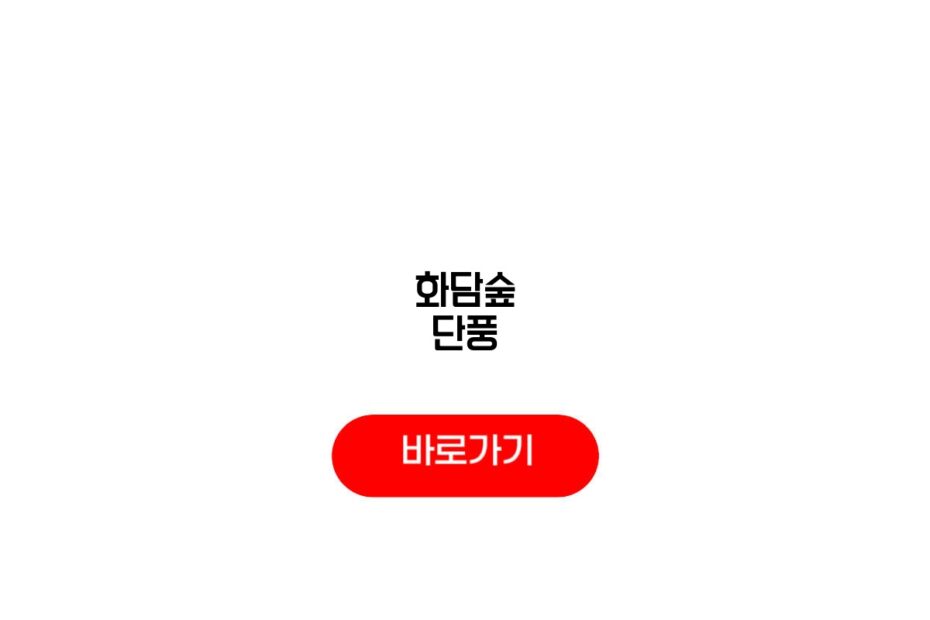 화담숲 단풍