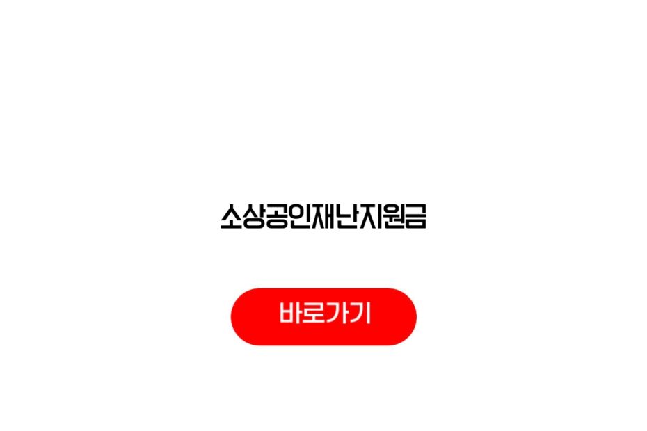소상공인재난지원금