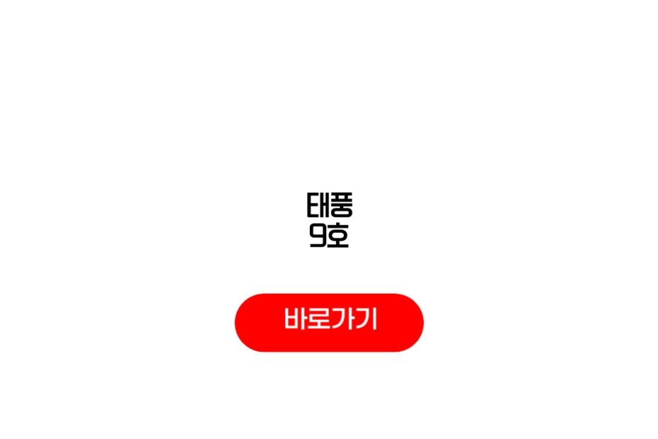 태풍 9호