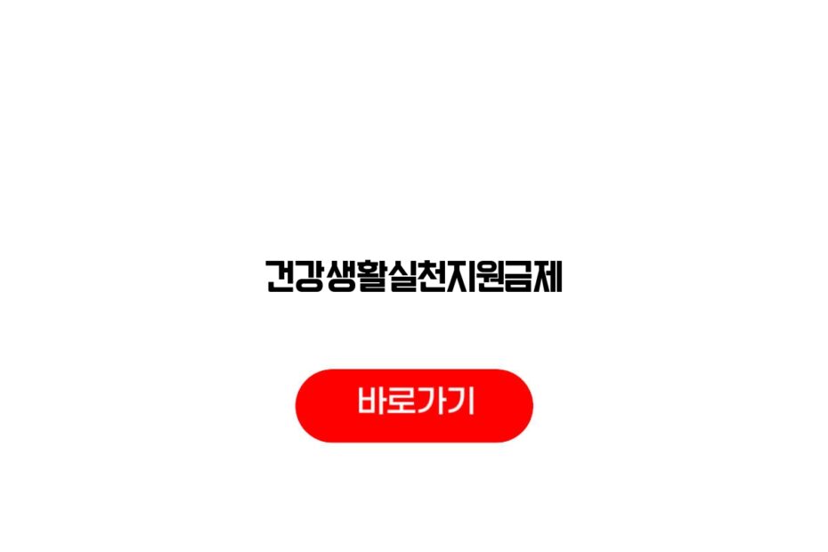 건강생활실천지원금제