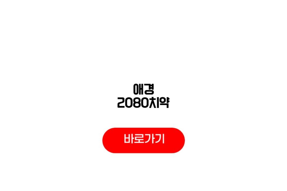 애경 2080치약