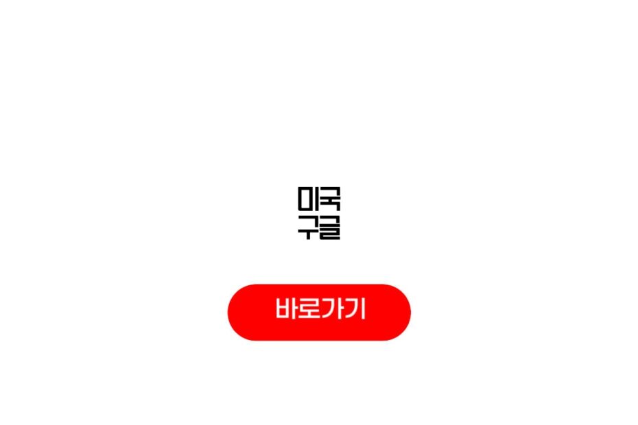 미국 구글