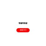 민생지원금