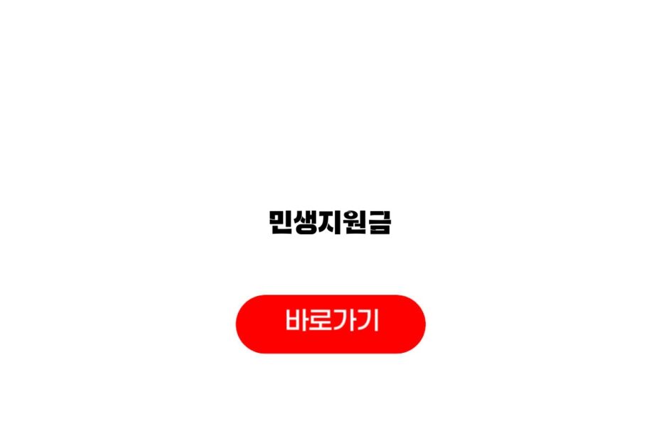 민생지원금