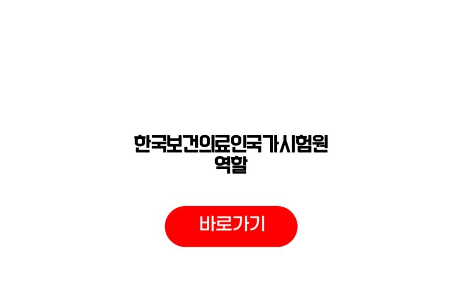 한국보건의료인국가시험원 역할