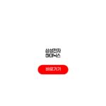 삼성전자 하이닉스 2배 상품구조 변동성 투자전략 삼성전자 하이닉스