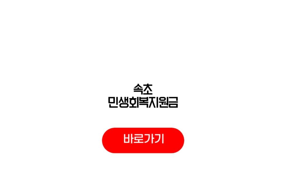 속초 민생회복지원금