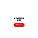 부산보건대학교 LMS 활용 로그인 강의수강 출결 부산보건대학교 LMS