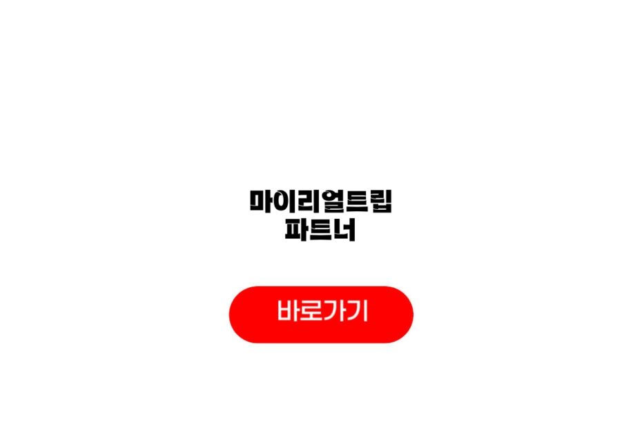 마이리얼트립 파트너