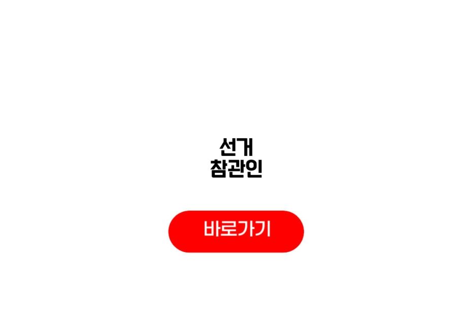 선거 참관인