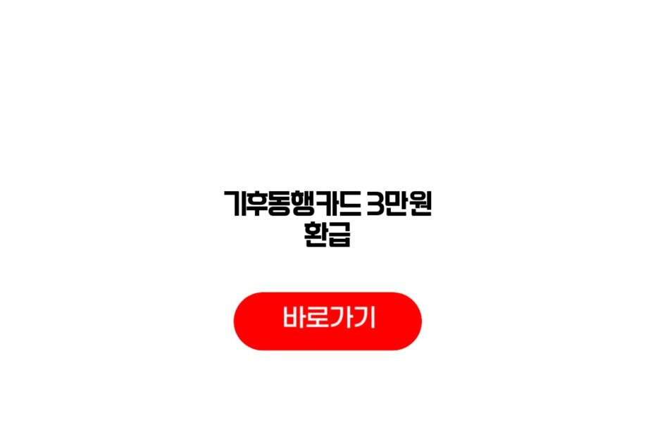 기후동행카드 3만원 환급
