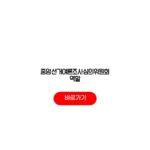 중앙선거여론조사심의위원회 역할