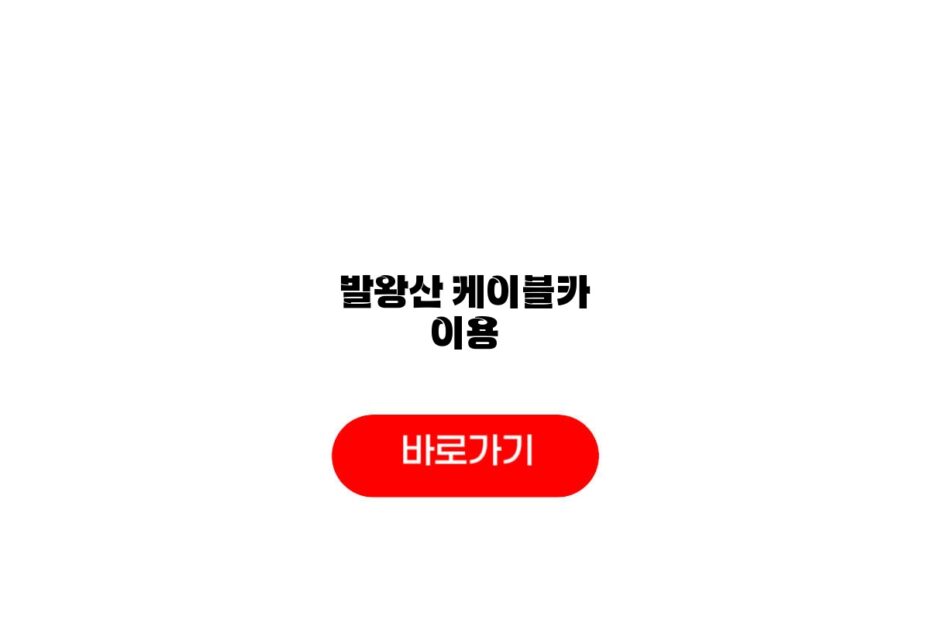 발왕산 케이블카 이용