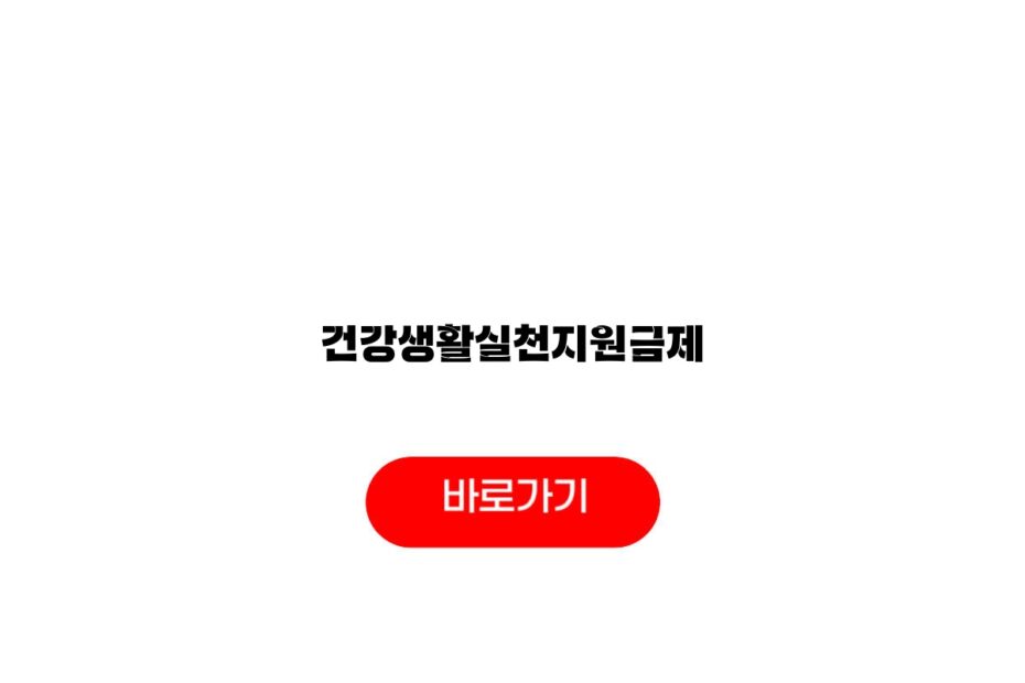 건강생활실천지원금제