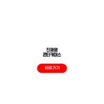 진재영 콘티커머스 연예인 브랜드 매출 운영 진재영 콘티커머스