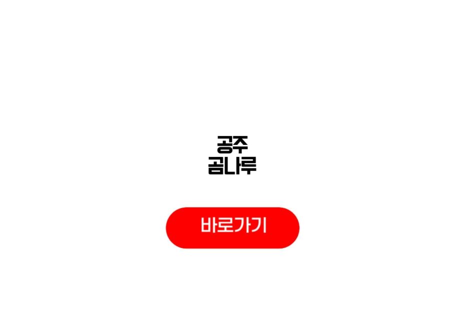 공주 곰나루