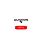중앙선거관리위원회 역할