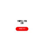 넷플릭스 연령 인증