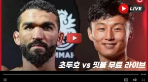 최두호 핏불