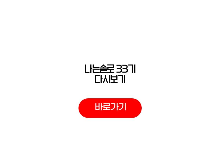 나는솔로 33기 다시보기