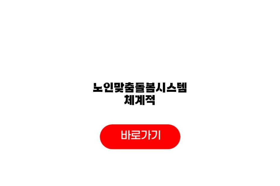 노인맞춤돌봄시스템 체계적