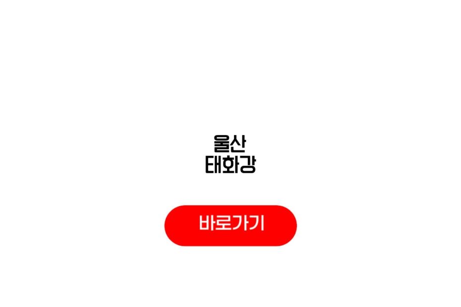 울산 태화강