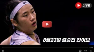 2026 세계개인선수권대회