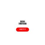 원데이 자동차보험