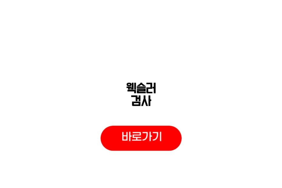 웩슬러 검사