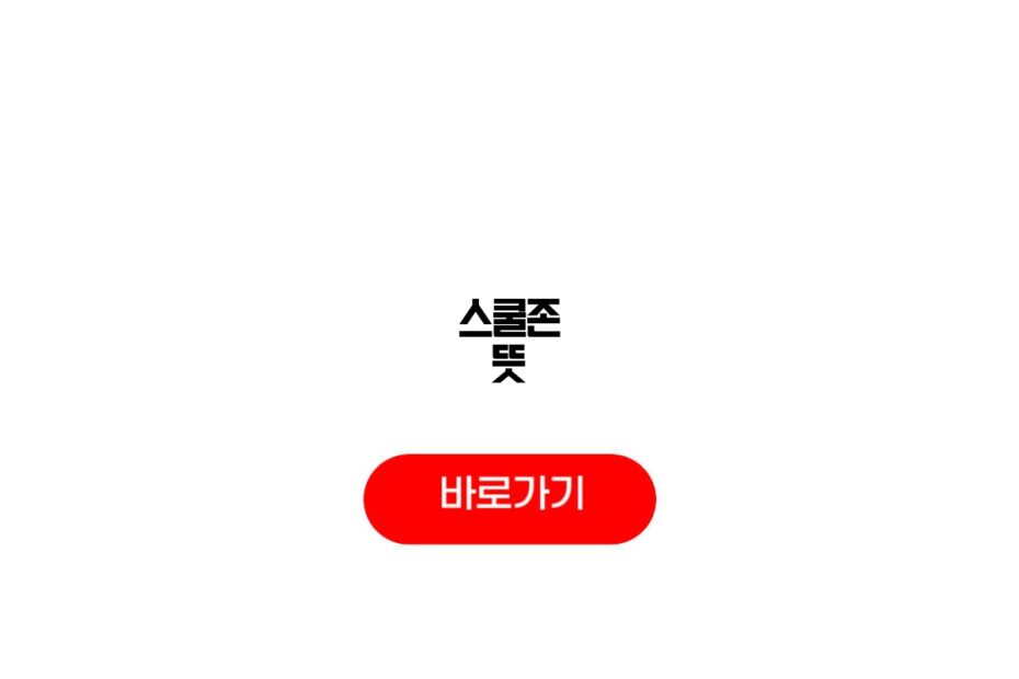 스쿨존 뜻