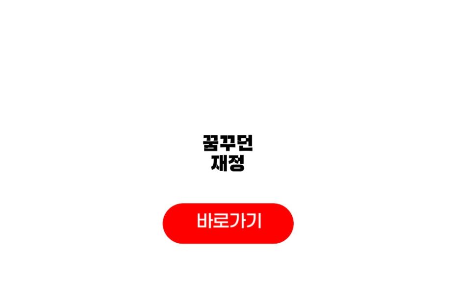 꿈꾸던 재정