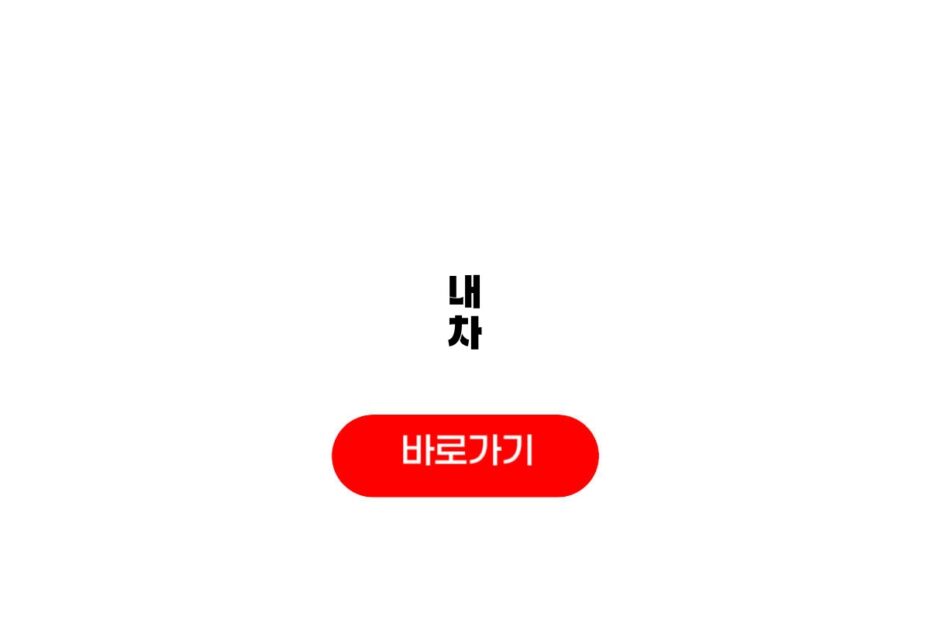 내 차