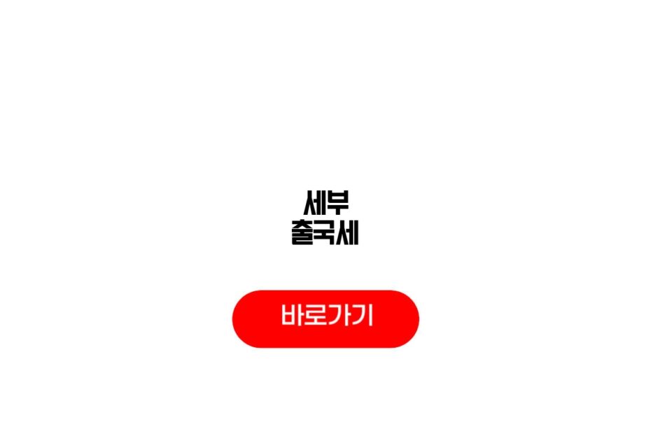 세부 출국세