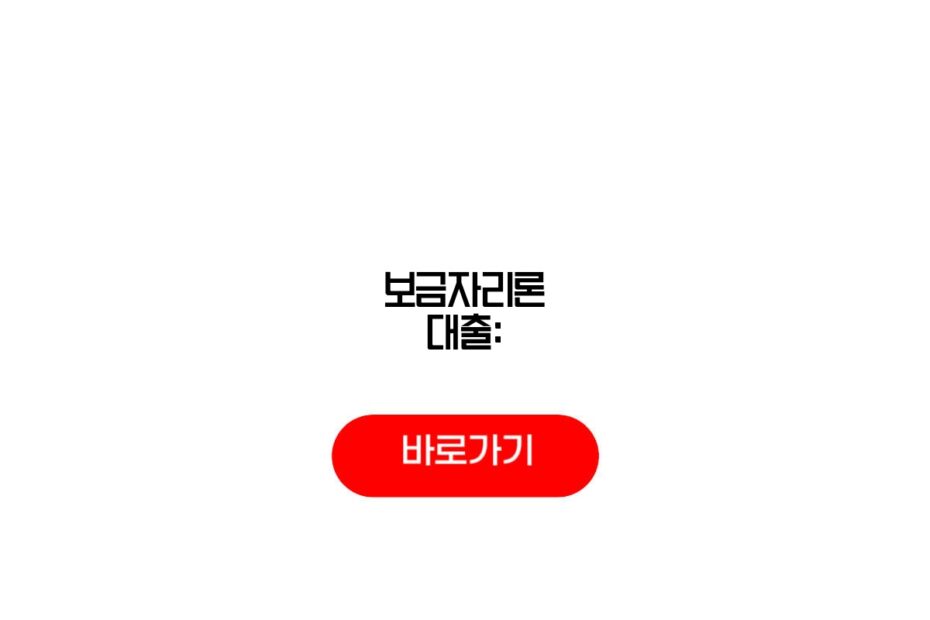 보금자리론 대출: