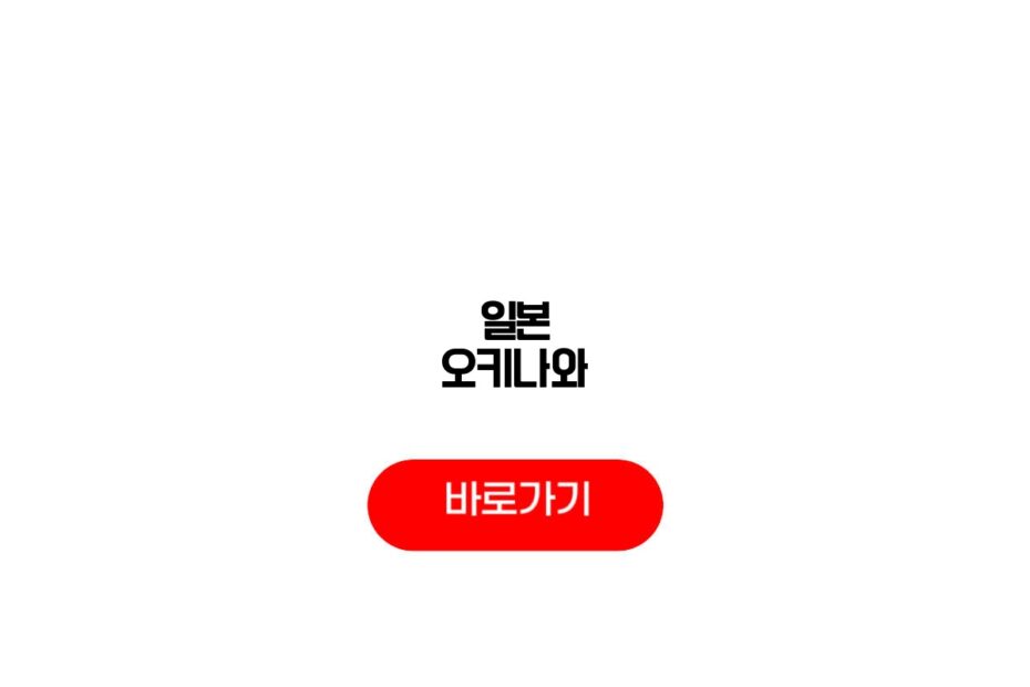 일본 오키나와