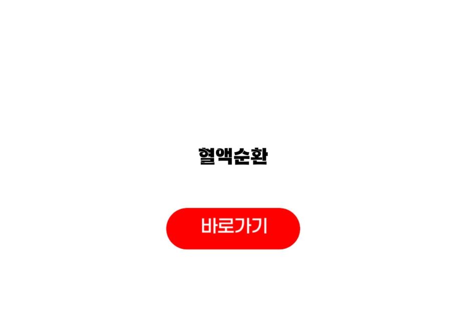 혈액순환