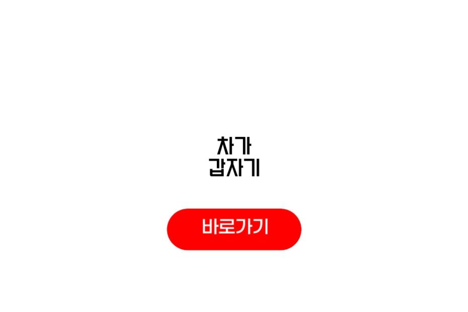 차가 갑자기