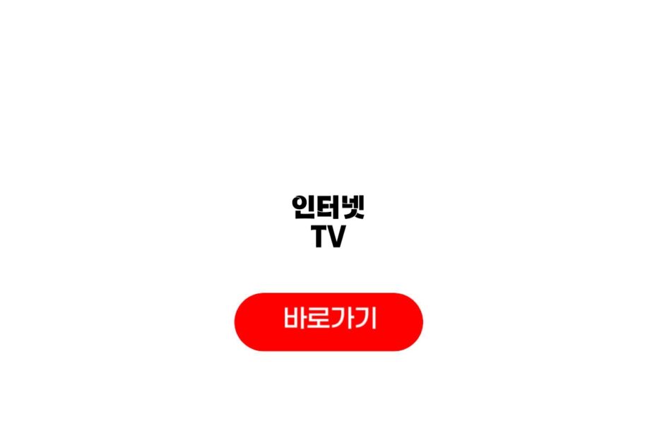 인터넷 TV