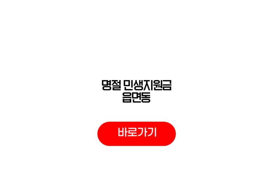 명절 민생지원금