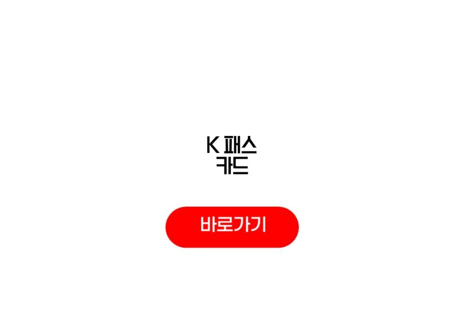 K 패스 카드