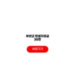 부안군 민생지원금 30만 사용처 선불카드 주민등록 요건 부안군 민생지원금 30만