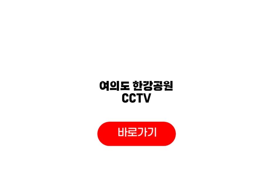여의도 한강공원 CCTV